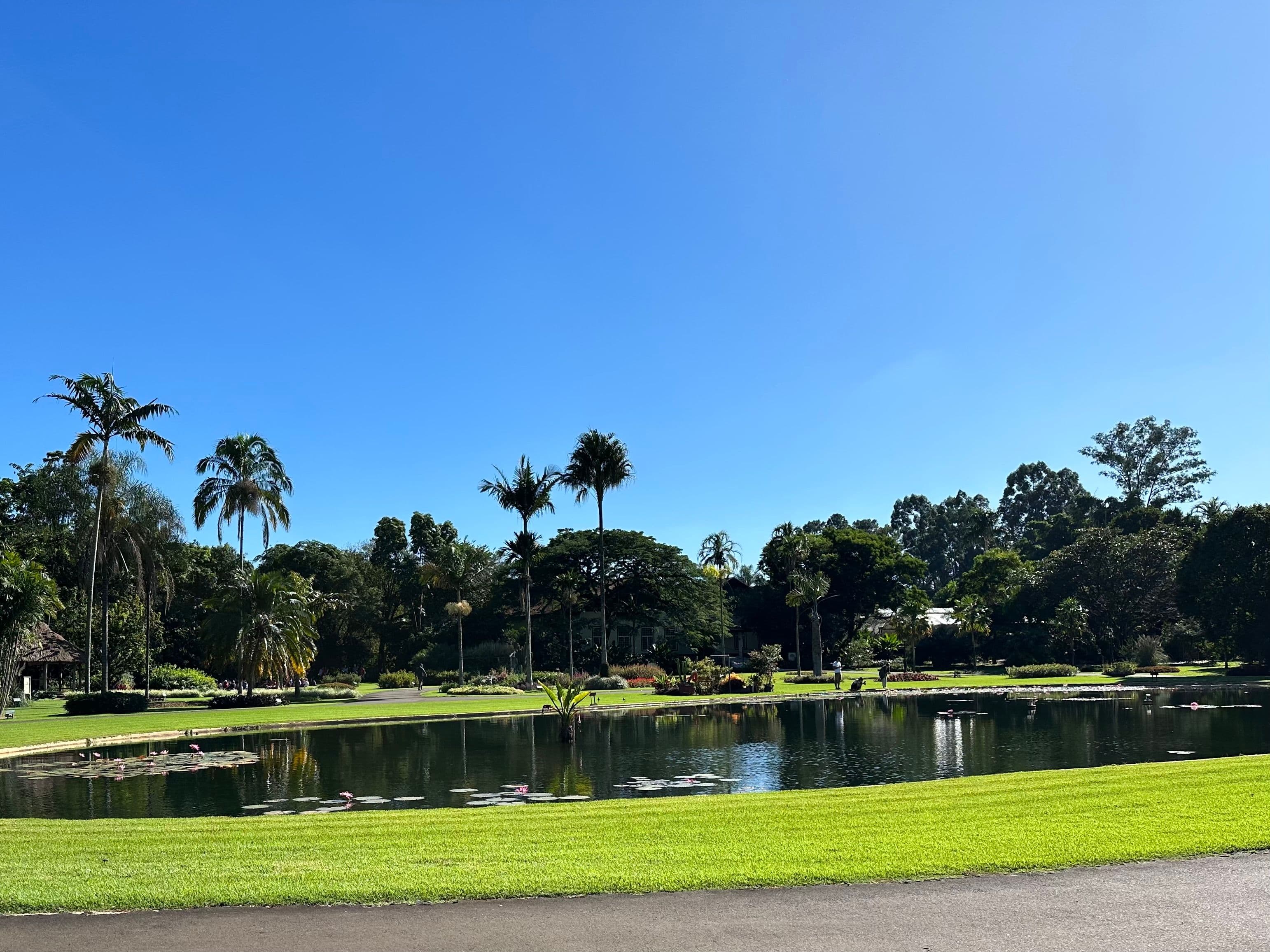 Visita ao Jardim Botânico Plantarum
